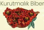 Dolmalık Biber Kurusu 3 Dizim - Görsel 3