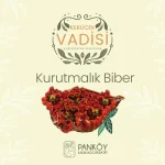 Dolmalık Biber Kurusu 3 Dizim - Görsel 2