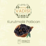Dolmalık Patlıcan Kurusu 3 Dizim - Görsel 2
