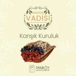 Karışık Dolmalık Kurusu 3 Dizim - Görsel 2