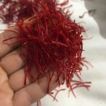 Ağın Safranı – Doğal Köy Üretimi Premium Kırmızı Safran 100 Gram (El Yapımı, Yüksek Aroma) 1 Gr - Görsel 2