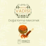 Kırmızı Mercimek Kabuksuz 3000 Gr - Görsel 2