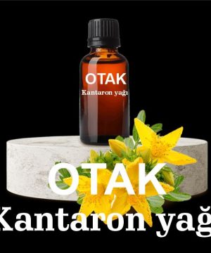 Otak Kantaron Yağı - 100 ml